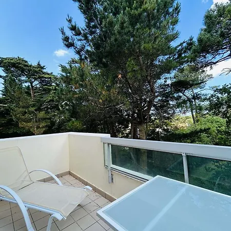 Lumineux Proche Avec Terrasse - Les Pins - Fr-1-245-203 Appartement *