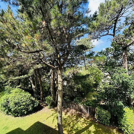 Lumineux Proche Avec Terrasse - Les Pins - Fr-1-245-203 Appartement
